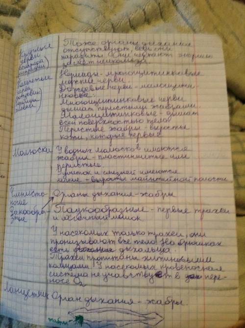 Мне нужна таблица на тему значения дыхания 8 класс органы особенности строения функции