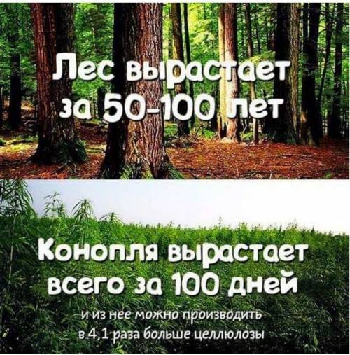 Попробуйте составить социальную рекламу которая доказывает необходимость защиты природы назовите сво