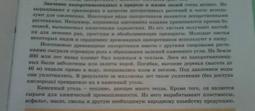 Роль папоротников в жизни человека и в природе