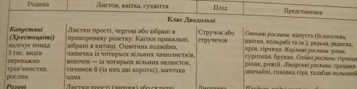 Дать харктеристику семейству крестоцветных по плану: 1.количество видов; 2.жизненная форма; 3.корнев