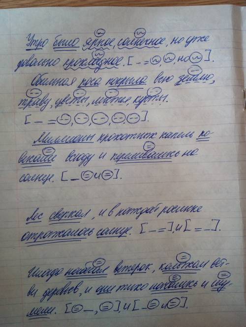 Утро было яркое солнечное но уже довольно прохладное. обильная роса покрыла всё землю траву цветы ли