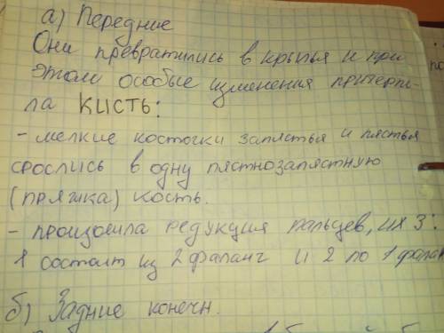 Напишите особенности строения передних конечностей у птицы.делайте по скелету птицы