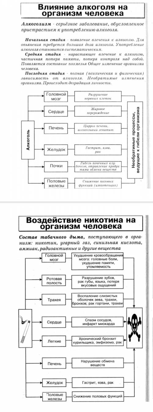 Практическая работа#5 последствия влияния алкоголя,никотина и наркотических средств на развитие чело