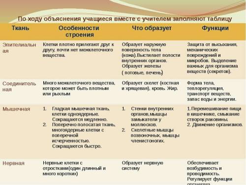 Сделать таблицу ткани животных соединительная костная хрящевая жировая 100