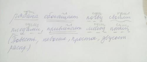 Синктакстический разбор рябина обогощает почву своими ,привлекает массу птиц.