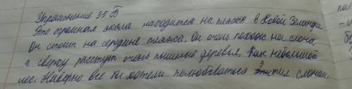 Слон который всегда живет на пляже в новой зеландии. напишите небольшую заметку . расскажите о месте