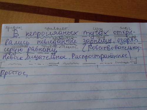 Внепроглядных тучах открывались невиданные зарницы, озаряя серую равнину. синтаксический разбор для