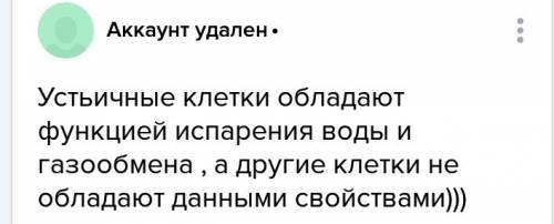 Чем отличаются клетки устьица от остальных клеток ? дайте полный ответ !