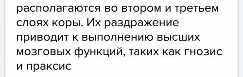 Особенности строения и функции малых полушарий головного мозга