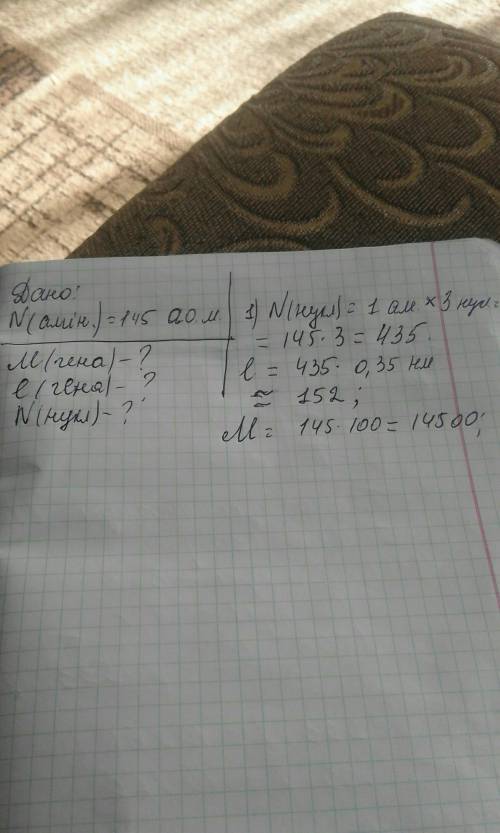 Скільки нуклеотидів містить ген, у якому закодована первинна структура білка, що складається із 145