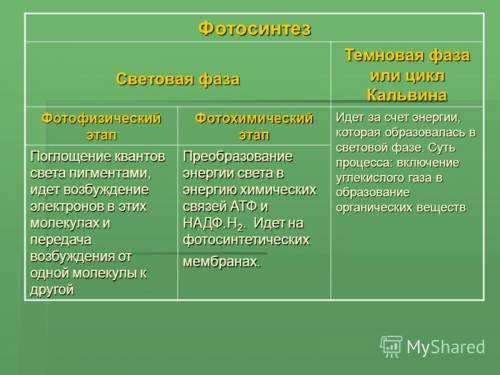 Составить подробную схему механизма фотосинтеза, описать фазы.