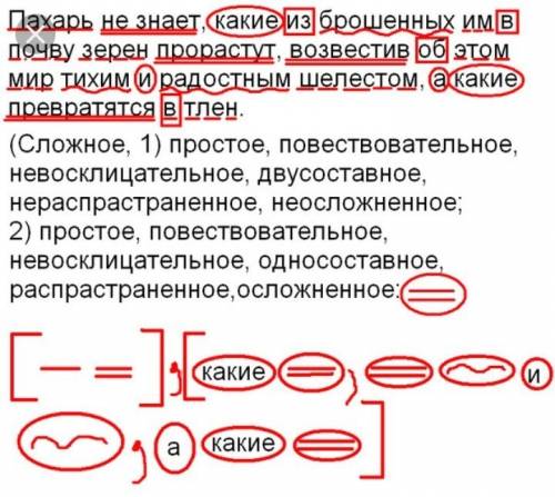 Синтаксический разбор предложений! 100 пахарь не знает, какие из брошенных им в почву зерен прорасту