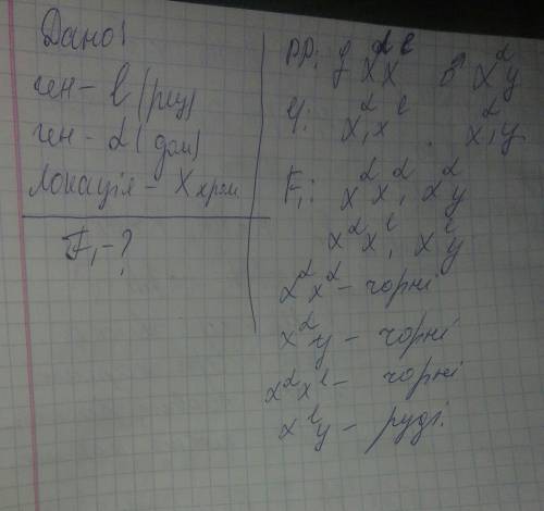 Ген , який визначає забарвлення шерсті у котів розташований у х-хромосомі . один із його алелів визн