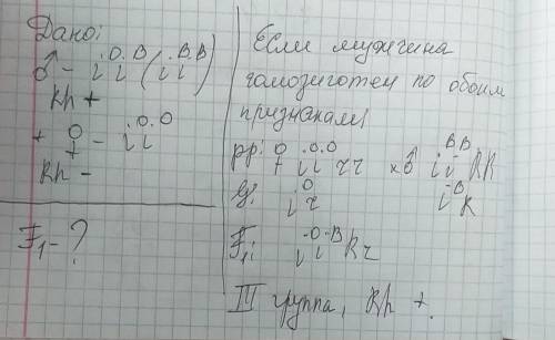 Мужчина имеющий третью группу крови и положительный резус-фактор женился на женщине , имеющей первую