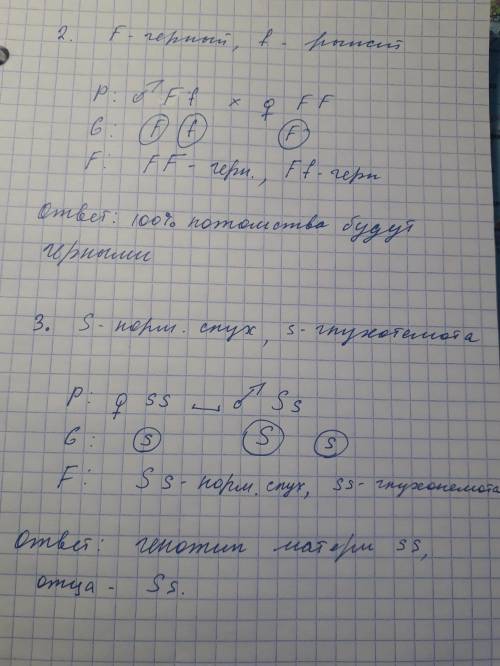 1у огурцов гладкая кожица плодов доминирует над опушенной. гомозиготная форма с гладкими скрещена с