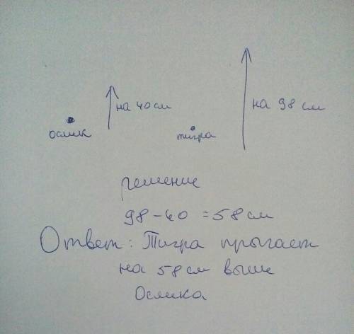 Сделай к схематический чертеж и реши её.ослик прыгает в высоту на 40см, а тигра на 98см. на сколько