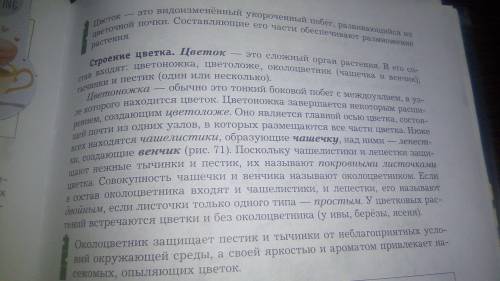 Строение цветка (цветок картофеля) лабораторная работа №5 1. рассмотрите цветок. найдите цветоножку,