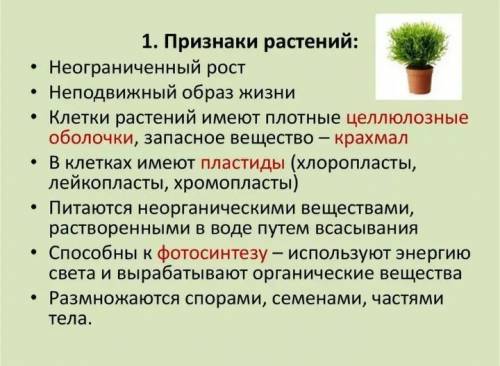 Какие признаки относятся к царству растений 5 класс