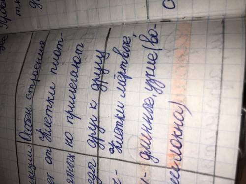 Из чего состоят механические ткани
