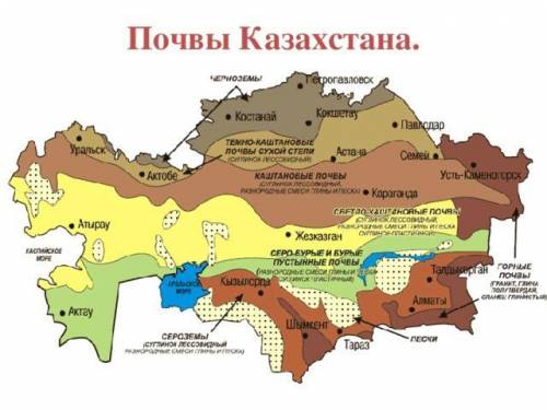 Отметьте на карте казахстана, типы почв​1. чернозем южный, малогумусный.&nbsp; 2.&nbsp; чернозем&nbs