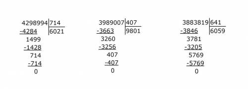 4298994:7143989007 :4073883819:641 Решите столбиком