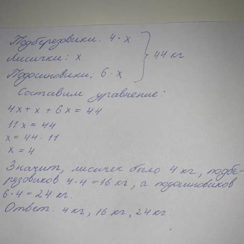 Ежиха за готовила 44 кг Грибов причём подберёзовики в четыре раза больше чем лисичек а Подосиновиков