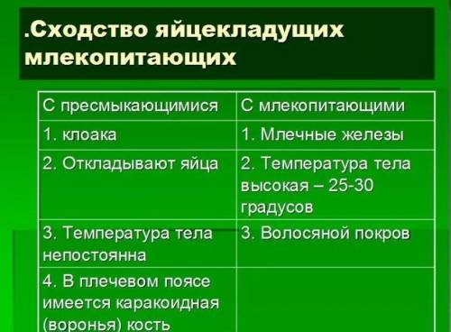 Сходство размножения яйцекладущих млекопитающих от пресмыкающихся​