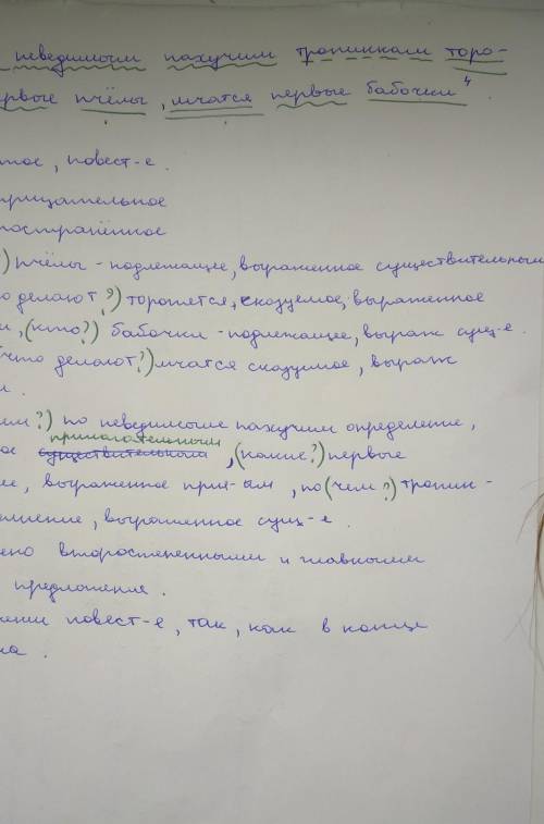 Выполните синтаксический разбор предложения (разберите по членам предложения, составьте схему и запи