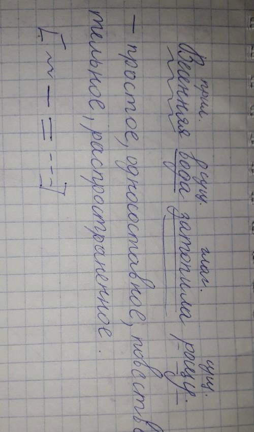 Синтаксический разбор предложения; Весенняя вода затопила рощу​