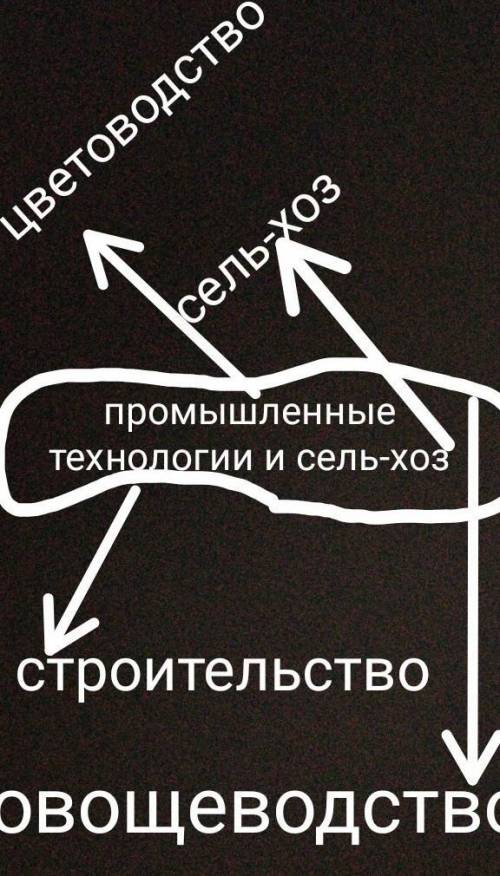 Начерти схему традиционных отраслей сельского хозяйства и промышленности (в виде кластера)​