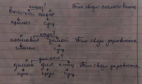Выпиши все словосочетания,(я уже выписал), укажи в них главное слово и какой тип связи (согласование