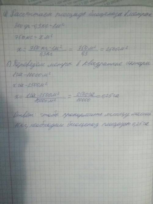 Сухая биомасса наземной растительности – 300гр на метр квадратный. Согласно правилу экологической пи