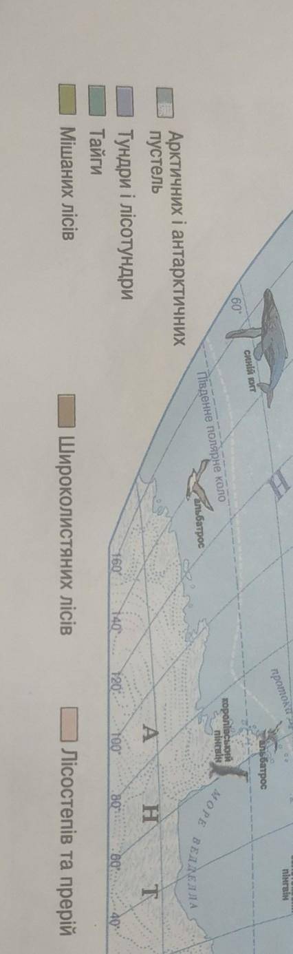 Які бувають природні зони?​