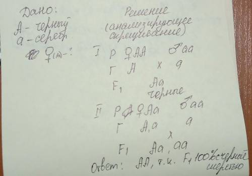 Задача по генетике. Очень Черную норку скрестили с серебристой норкой. Серебристый цвет шерсти – рец