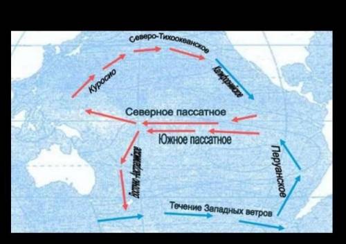 Покажите на контурной карте тёплые и холодные течения Тихого океана.​