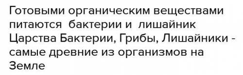 Готовыми органическими веществами питаются... - зеленые растения - грибы, бактерии - лишайники