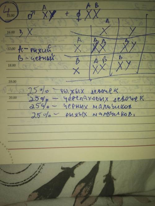1. У кроликов ген серой окраски меха доминирует над черной окраской. Серогокролика скрестили с черно