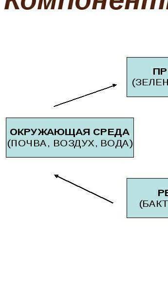Что такое компоненты экосистемы.что входит в неживую часть экосистемы?что образует живую часть экоси