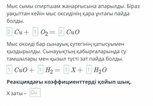 Химиялық реакция теңдеулері құру. Мыс сымы спиртшам жанарғысына апарылады. Біраз уақыттан кейін мыс