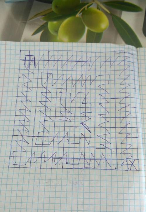 пьяный корол-шахматная фигура,которая ходит как король,но не может ходить 2 раза в одном направдений