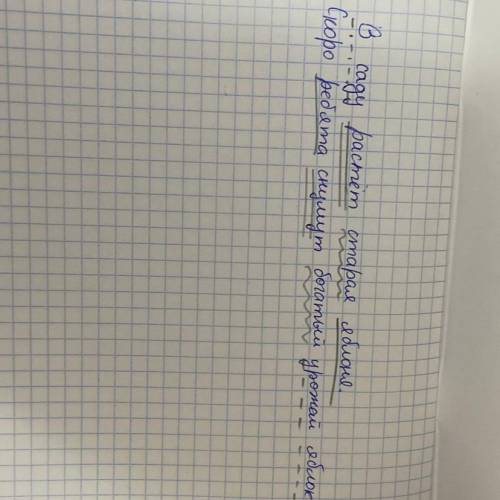 2) Прочитай предложения. Выполни синтаксический разбор предложений. В садурастётстараяяблоня.(Скоро