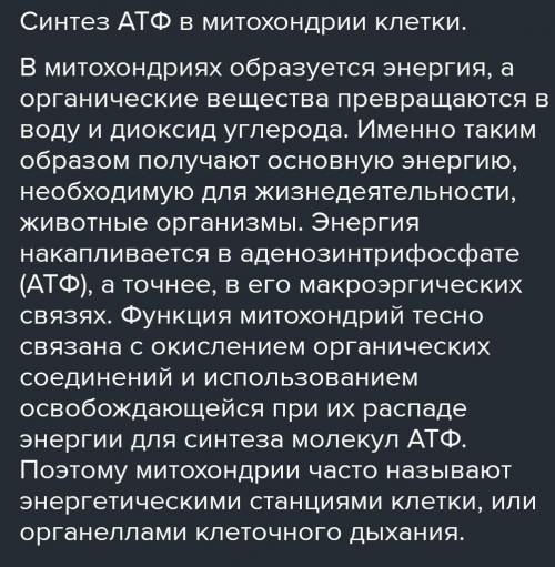 Синтез АТФ происходит в мембранах митохондрий и заключатся в присоединении к АДФ фосфатной группы пр