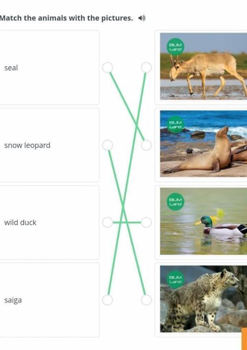 Match the animals with the pictures.