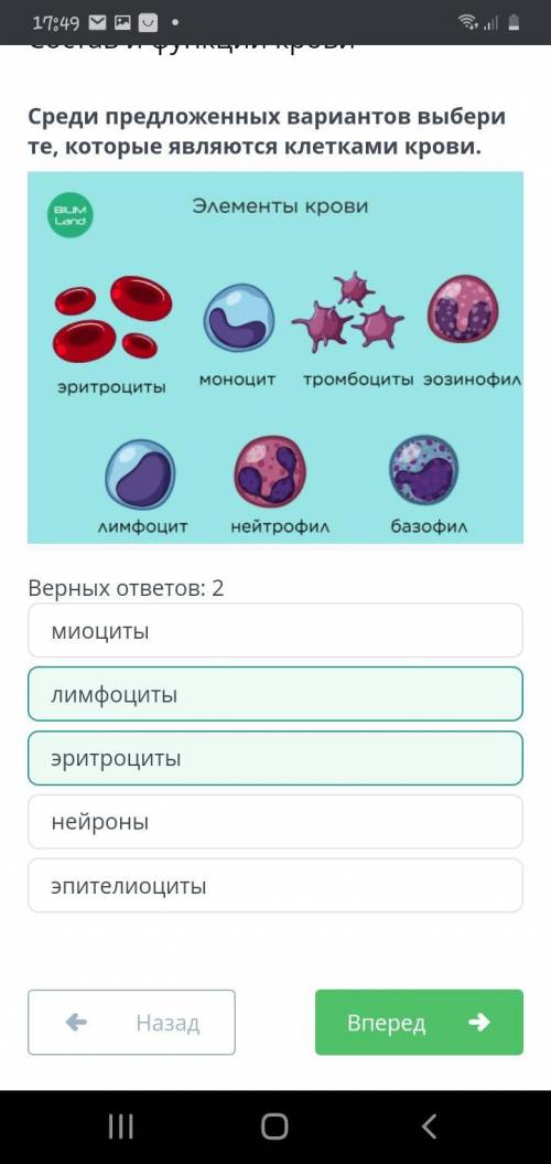 Среди предложенных вариантов выбери те, которые являются клетками крови. Верных ответов: 2 миоциты н