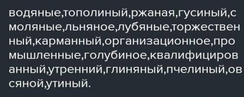 Вставьте пропущенные -н- или -нн- . Обозначьте суффиксы прилагательных. Водя...ые капли, тополи...ый