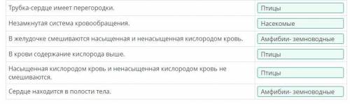 Строение и функции сердца и кровеносных сосудов у кольчатых червей (дождевой червь), моллюсков, член