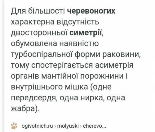 Симетрія тіла Червоногих??