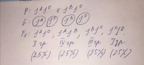 Мужчина с третьей группой крови женился на женщине со второй группой крови ( мужчина и женщина – гет