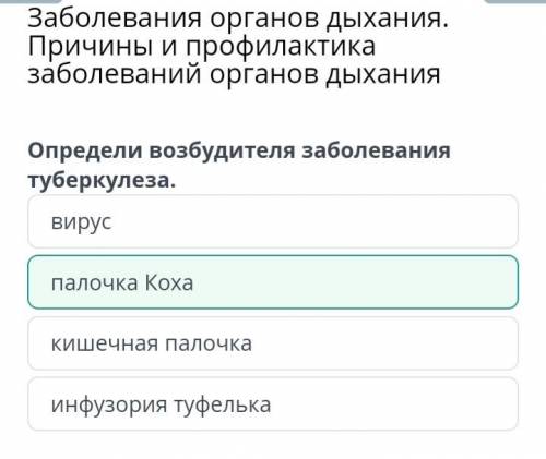 Заболевания органов дыхания. Причины и профилактика заболеваний органов дыхания Определи возбудителя