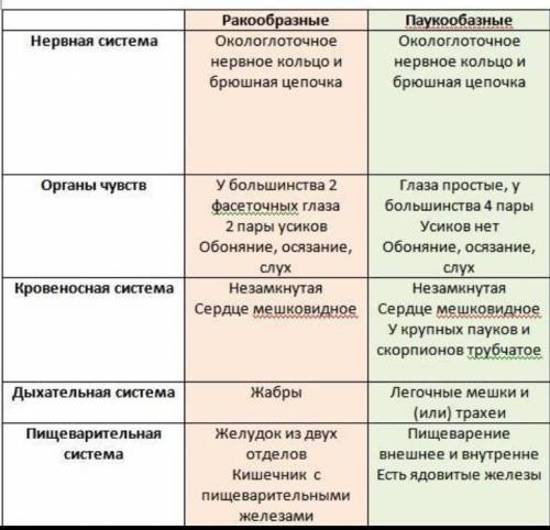Каковы отличительные особенности внутреннего строения ракообразных от паукобразных?​